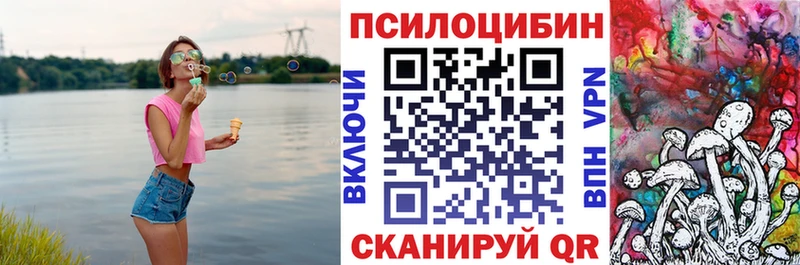 Псилоцибиновые грибы Psilocybe  МЕГА ССЫЛКА  Солигалич 
