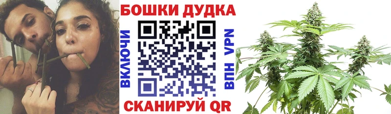 Шишки марихуана Amnesia  Солигалич 